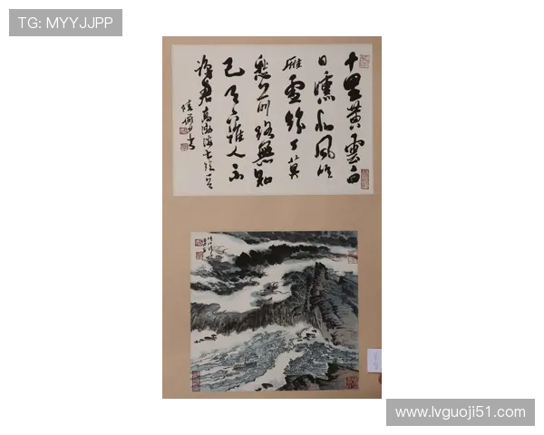 北京台财经频道直播:实时掌握市场动态与投资机会